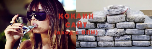 бошки Белокуриха