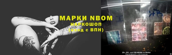 амф Верхний Тагил