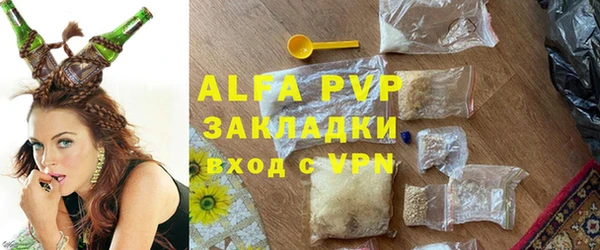 эйфоретик Бородино