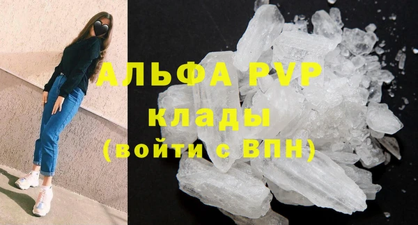эйфоретик Бородино