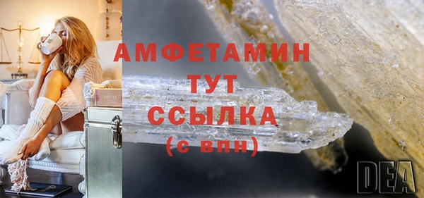 амф Верхний Тагил